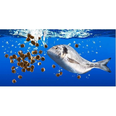 AQUATIC FEED IMPORT